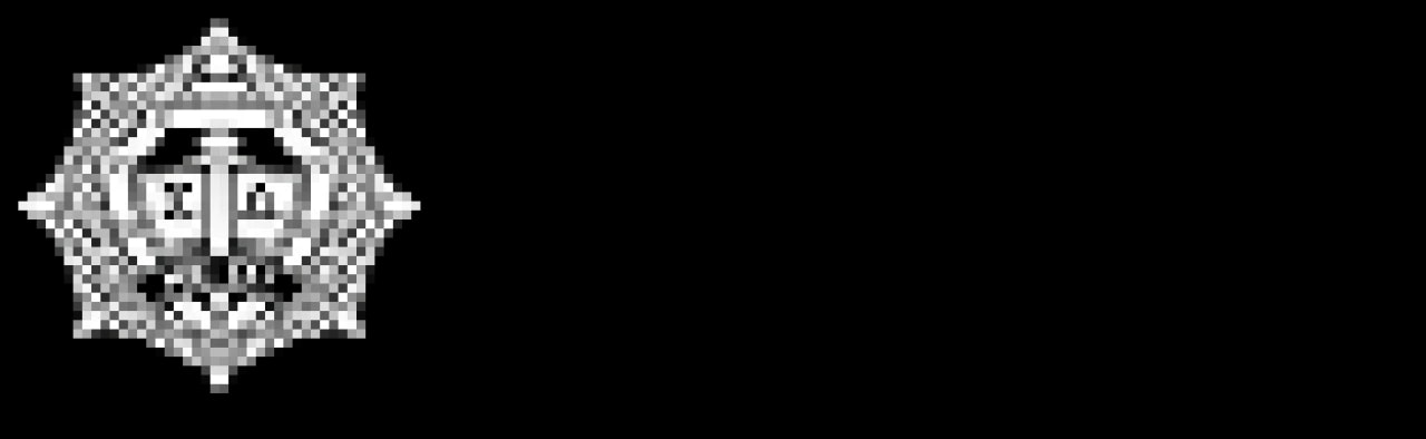 НИИ ТЗИ logo.png